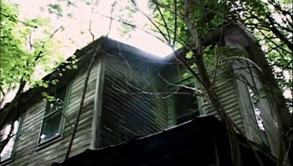 Red Woods (2021) Watch HD