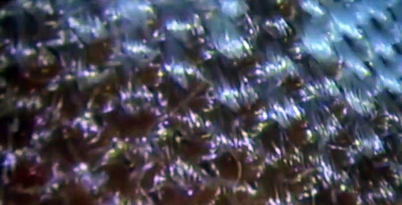 Waking the Dead S01 E08