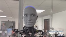 Sophisticated AI robot speaks several languages in disturbing footage