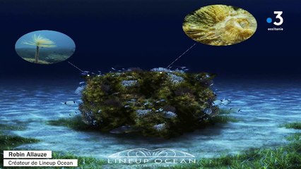 La startup Lineup Ocean créée des digues artificielles et écologiques pour protéger les littoraux