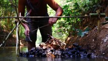 Cooking Chicken BBQ Recipe in Forest - Cook Chicken bbq for Food eating delicious