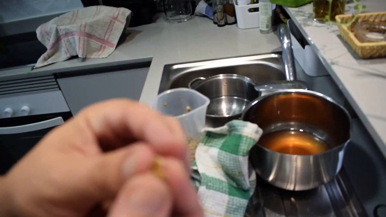 COMO HACER UN ENRAIZANTE NATURAL CON LENTEJAS - ¡¡¡Ahorra dinero!!! MUY EFECTIVO!