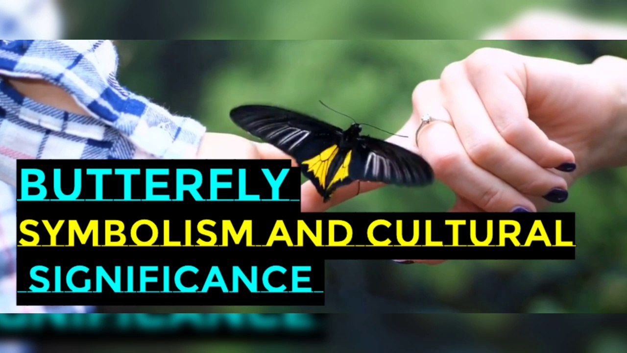 Butterfly Symbolism and Cultural Significance I Butterfly spirituality video Dailymotion