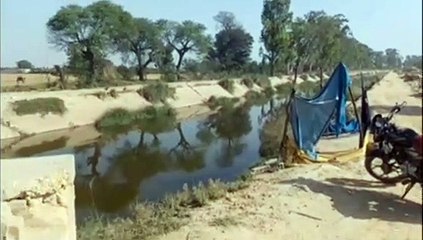 अमृतपाल की तलाश में जुटी एजेंसियां, कई जगह पोस्टर भी लगाए