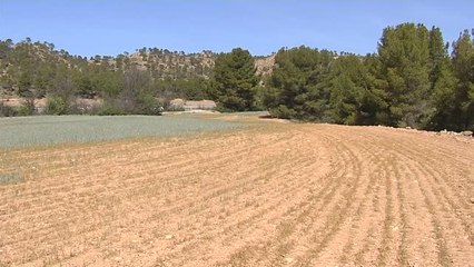 Descargar video: Agricultura convoca de urgencia a Cooperativas agroalimentarias, comunidades de regantes y autonomías ante la preocupante sequía