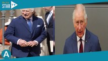 Charles III “fatigué et furieux” : cet affront du prince Andrew qui lui gâche les préparatifs du cou