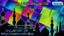 از نظر امام علی قرآن و سنت دو نور هدایت اند