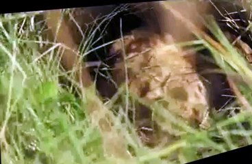 Savage Kingdom S02 E01