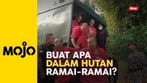 40 individu didakwa ceroboh Hutan Simpan Bukit Enggang, Sik