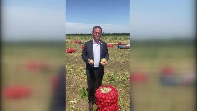 Yüreğir Ziraat Odası Başkanı Doğan: Bayramdan Sonra Soğan Fiyatlarının Düşeceğini Bekliyoruz.
