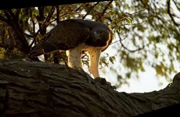 Savage Kingdom S02 E0204