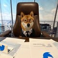 Elon Musk said his dog is Twitter CEO