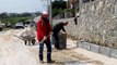 Menderes Belediyesi Fen İşleri Müdürlüğü Ekipleri, 44 Mahallede Çalışmalara Devam Ediyor