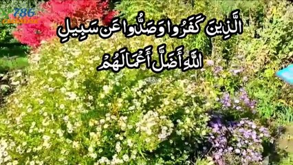 surah muhammad with urdu translation by 786 cuisine