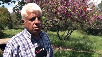 Tatilcilerin kabusu olmuştu! İstilacı ve zehirli türün popülasyonu azalıyor