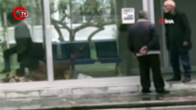 Yer Adana... Durakta sigara içtiği için katledildi