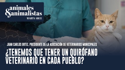 La mayoría de los pueblos no podrán cumplir la ley animalista: "¿Un quirófano en cada pueblo?"