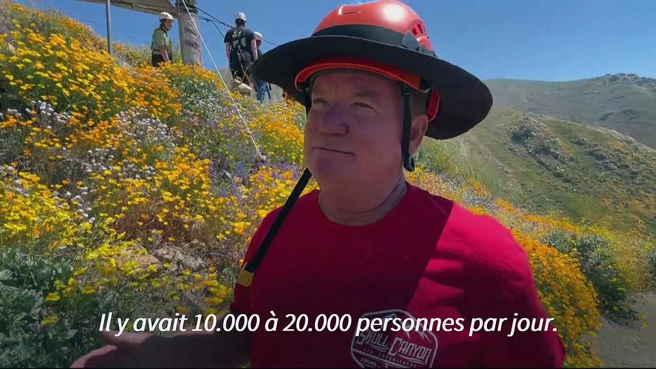 Le "super floraison" de retour en Californie