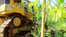 Dozers and Plantations: A Strong Combination for Road Construction || Bulldozer D6R XL