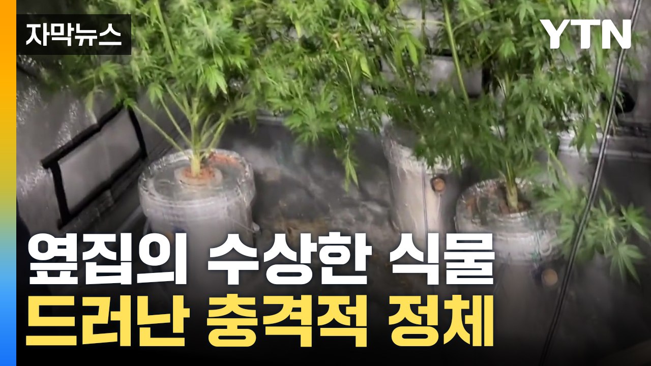 [자막뉴스] 불침번까지 서며 애지중지...수상한 옆집 화분의 정체 / YTN