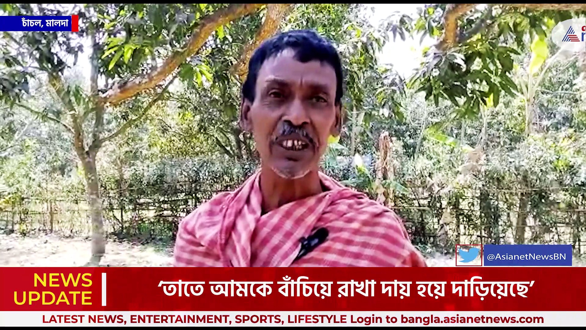 তীব্র গরমে পোকার আক্রমণ, ঝরে পড়ে যাচ্ছে সব আম! মালদায় আম চাষিদের মাথায় হাত