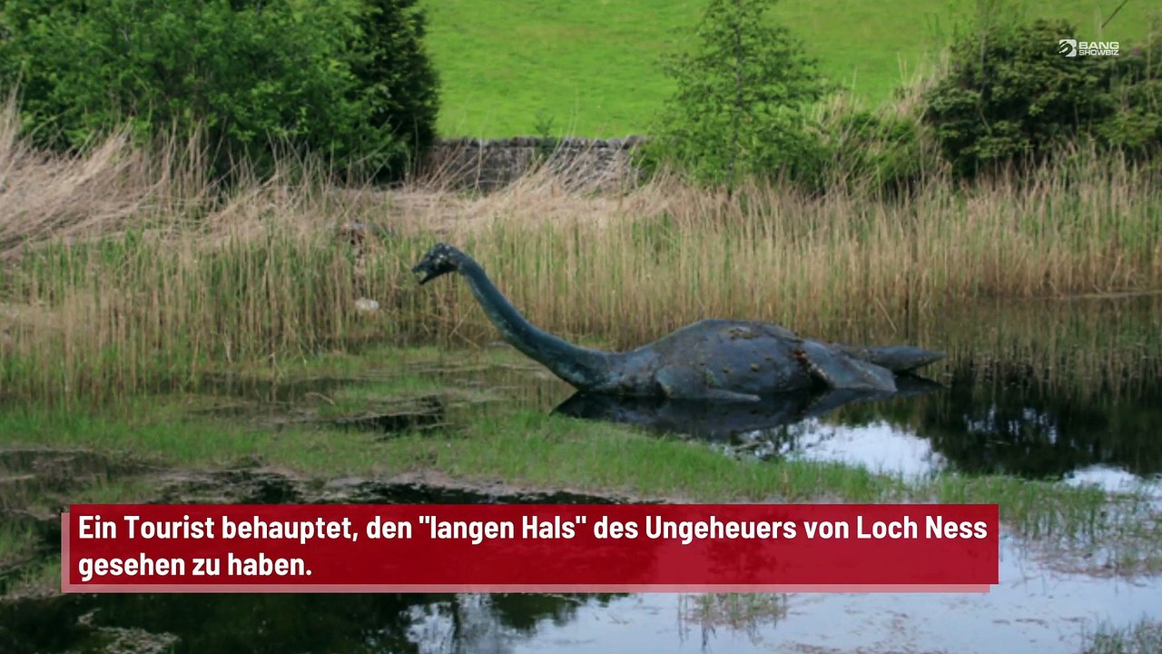 Mann will 'langen Hals' des Ungeheuers von Loch Ness gesehen haben