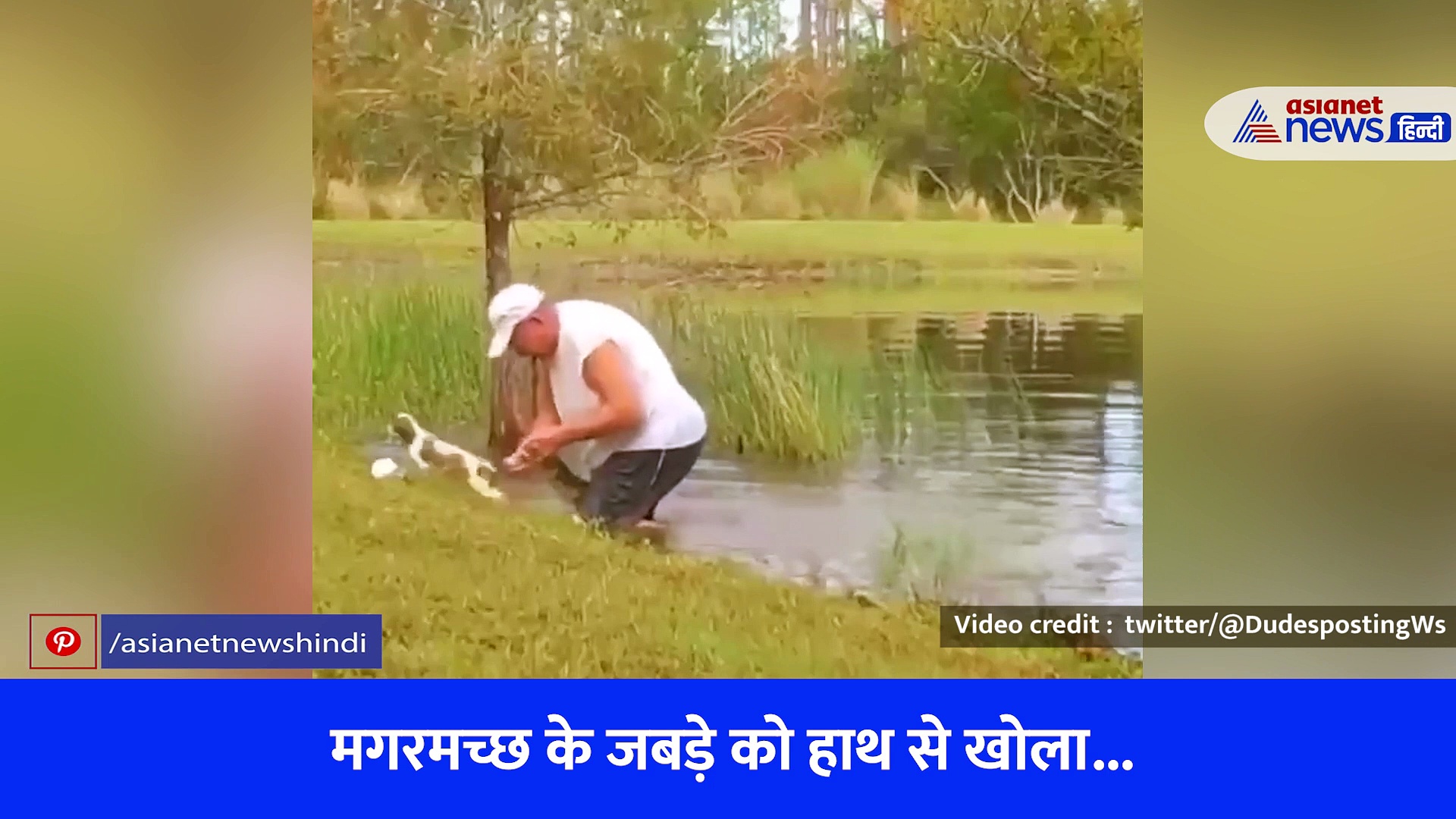 डॉग को मगरमच्छ से बचाने तालाब में कूदा शख्स, जबड़े में हाथ डालकर किया ये खौफनाक काम, देखें वीडियो