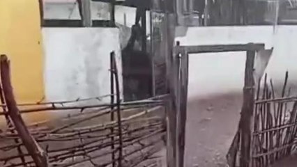 ఆసిఫాబాద్: పలు గ్రామాల్లో వడగండ్ల వర్షం..!