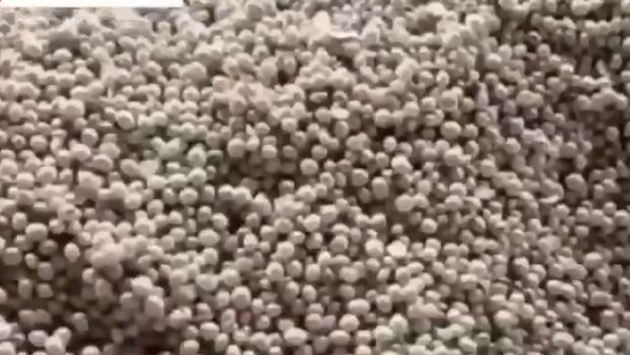 धार: बड़ी संख्या में उपज लेकर पहुंचे किसान गेहूं सहित अन्य उपस्थित की बंपर आवक