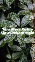Tera Mera Rishta-Slowed+Reverb+Rain-SlowedXSaim
