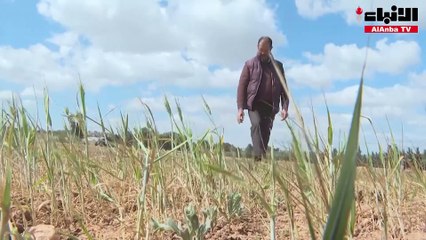شح المياه يهدد بموسم «كارثي» لإنتاج الحبوب في تونس