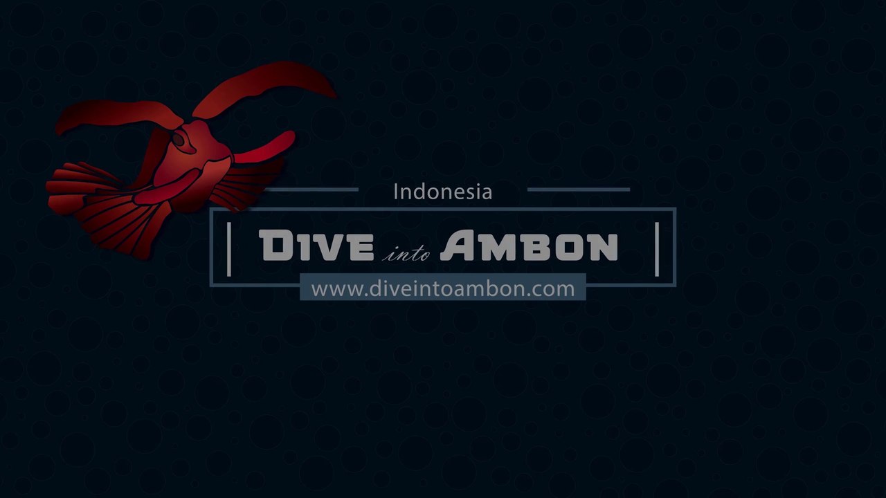 Psychedelic Frogfish -  Histiophryne psychedelica