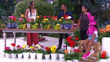 bd-arreglos-coloridos-con-gerberas-130423