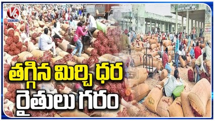 Download Video: Mirchi Rates Falls Down In Warangal Enumamula Market Yard | V6 News