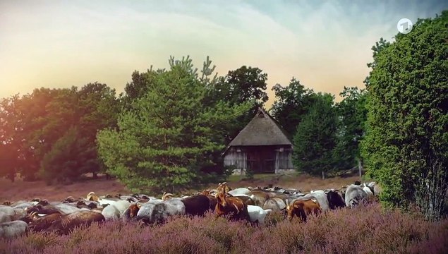 Rote Rosen Folge 3753