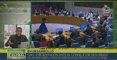 Representante de la ONU en Colombia presenta informe trimestral del proceso de paz