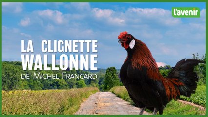 La clignette wallonne de Michel Francard