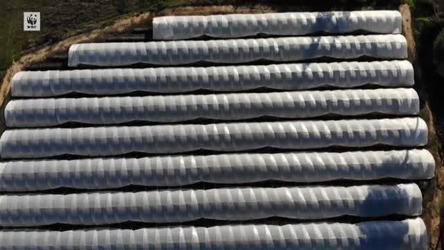 La Comisión Europea insiste en los riesgos de ampliar regadíos en el entorno de Doñana