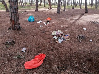 L'inciviltà alla pineta della Frasca