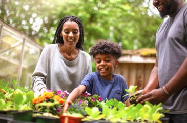 These Kitchen Leftovers Are Great for Your Garden