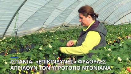 Ισπανία: «Οικοκτονία» στον υγρότοπο Ντονιάνα, έναν από τους σημαντικότερους υγρότοπους στην Ευρώπη