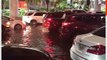 Flights Grounded and Travel Chaos as Flooding Hits Florida's Fort Lauderdale Airport