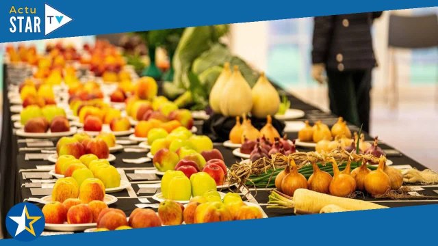 MasterChef : 44 personnes victimes d'une intoxication alimentaire sur le tournage de la version espa