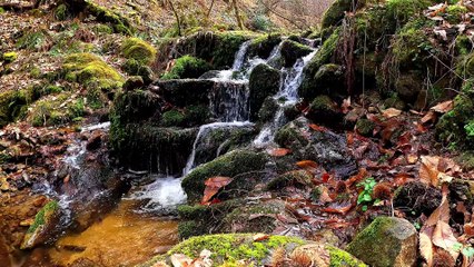 "Bien-être" Eau Cascade escalier 4K - Relaxation - détente