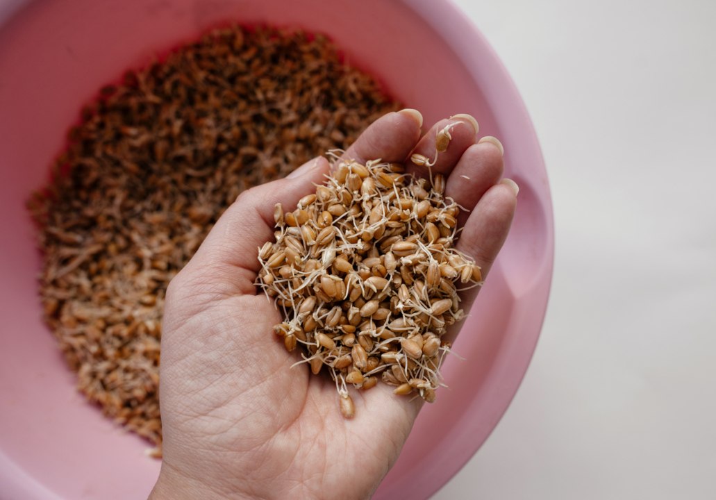 8 Great Foods for Gut Health—Plus 4 to Avoid, According to Experts