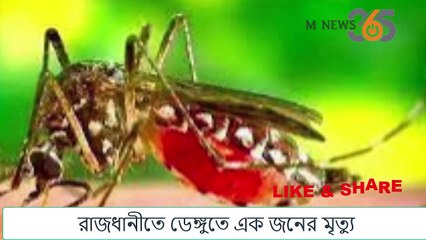 রাজধানীতে ডেঙ্গুতে ১ জনের মৃত্যু