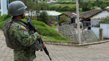 Entrevista Daniel Briceño