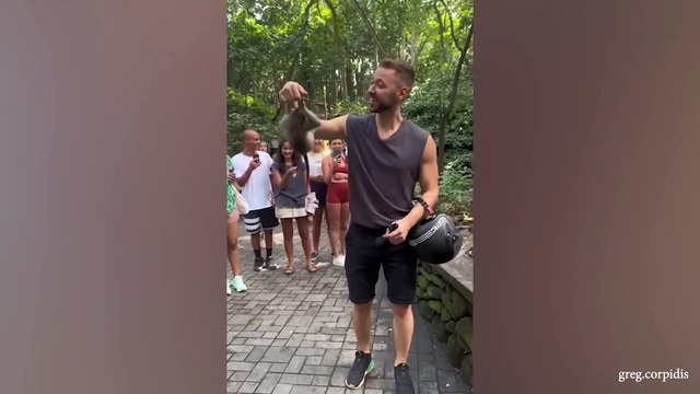 Laugh a Lot With The Funny Moments Of Monkeys Funniest Animals Video