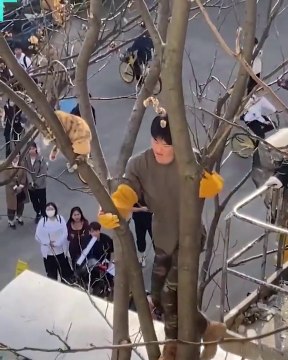 Funniest Animals 2023 Funny Cats and Dogs | Funny Animal Videos pets lover-Animal lover # 10