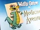 Wally Gator S02 E015 - Medicine Avenue